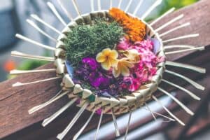 shallow focus photography of multicolored floral decor